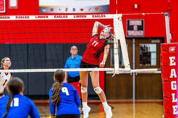 VB_Kearsley_Linden_101325 (33 of 133)