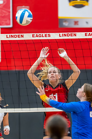 VB_Kearsley_Linden_101325 (36 of 133)