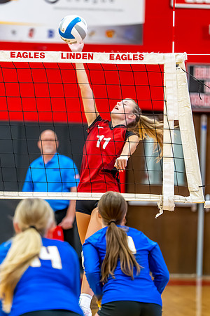 VB_Kearsley_Linden_101325 (37 of 133)