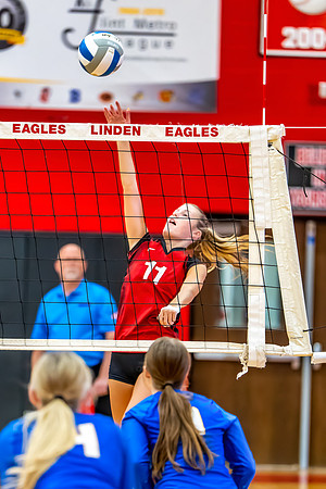 VB_Kearsley_Linden_101325 (38 of 133)