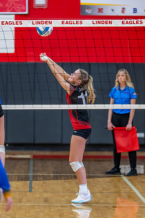 VB_Kearsley_Linden_101325 (50 of 133)