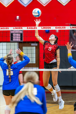 VB_Kearsley_Linden_101325 (51 of 133)