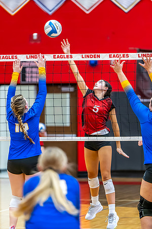 VB_Kearsley_Linden_101325 (53 of 133)