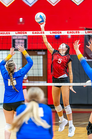 VB_Kearsley_Linden_101325 (52 of 133)