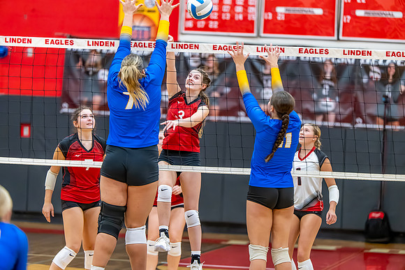 VB_Kearsley_Linden_101325 (55 of 133)