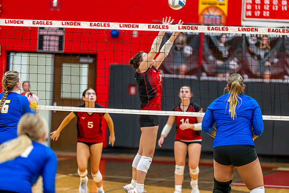 VB_Kearsley_Linden_101325 (56 of 133)