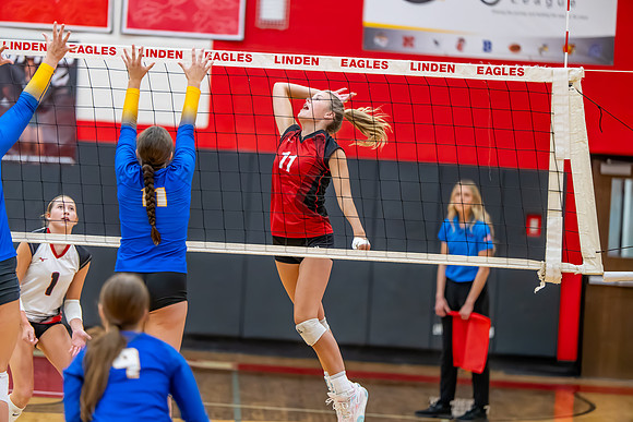 VB_Kearsley_Linden_101325 (58 of 133)