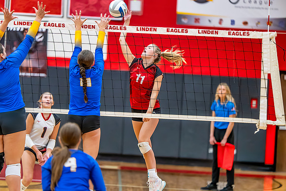 VB_Kearsley_Linden_101325 (59 of 133)