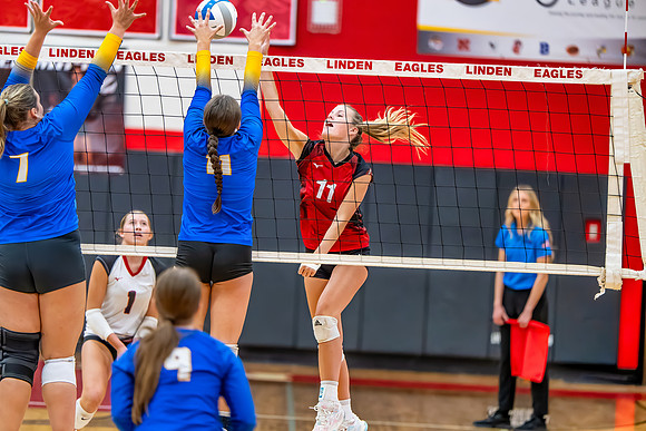 VB_Kearsley_Linden_101325 (60 of 133)