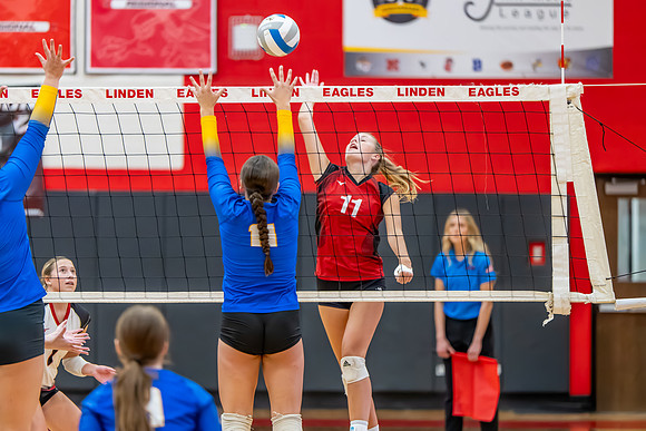 VB_Kearsley_Linden_101325 (64 of 133)