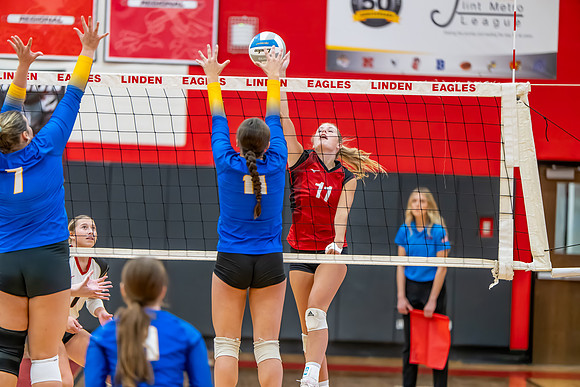 VB_Kearsley_Linden_101325 (65 of 133)