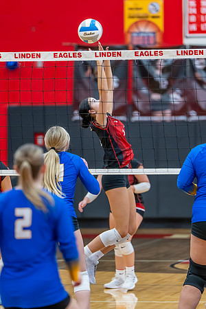 VB_Kearsley_Linden_101325 (66 of 133)