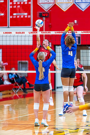VB_Kearsley_Linden_101325 (70 of 133)