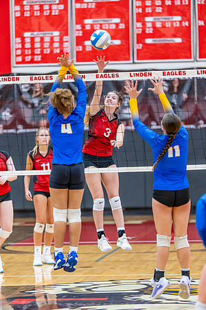VB_Kearsley_Linden_101325 (72 of 133)