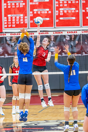 VB_Kearsley_Linden_101325 (71 of 133)