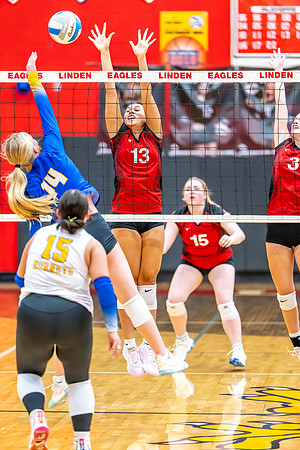 VB_Kearsley_Linden_101325 (73 of 133)