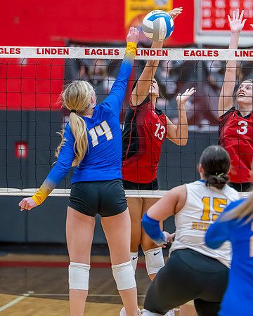 VB_Kearsley_Linden_101325 (75 of 133)