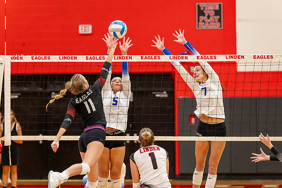 VB_LF_Linden_102325_G (15 of 259)