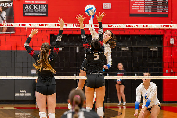 VB_LF_Linden_102325_G (16 of 259)