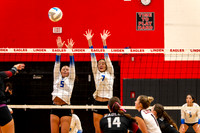 VB_LF_Linden_102325_G (18 of 259)