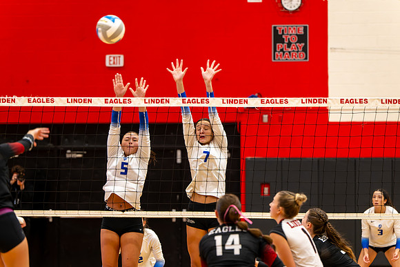 VB_LF_Linden_102325_G (18 of 259)