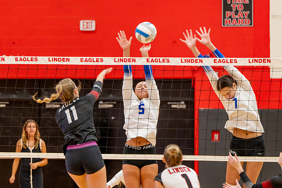 VB_LF_Linden_102325_G (19 of 259)