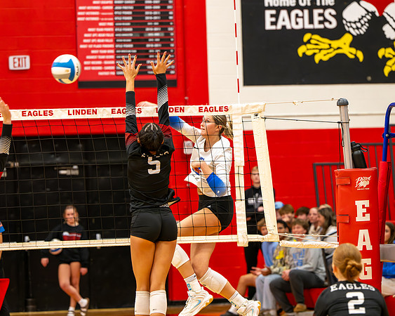 VB_LF_Linden_102325_G (20 of 259)