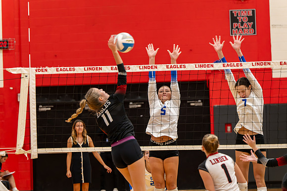 VB_LF_Linden_102325_G (21 of 259)