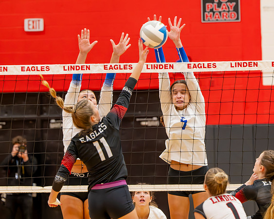 VB_LF_Linden_102325_G (25 of 259)