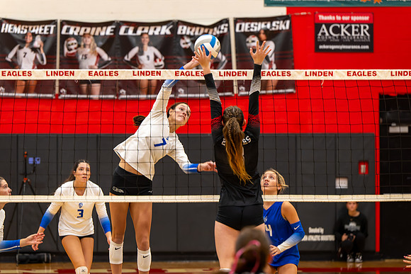 VB_LF_Linden_102325_G (23 of 259)