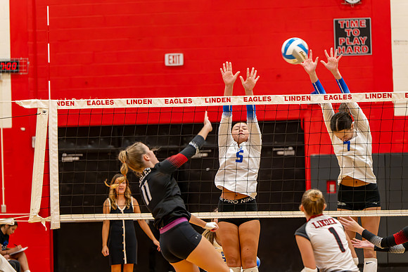 VB_LF_Linden_102325_G (22 of 259)