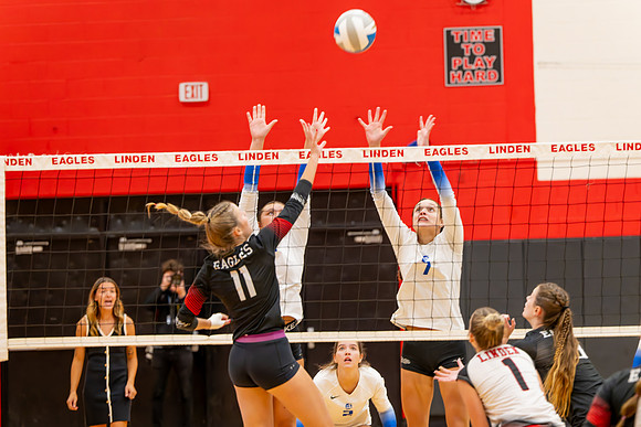 VB_LF_Linden_102325_G (24 of 259)