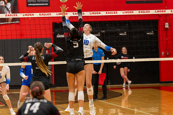 VB_LF_Linden_102325_G (26 of 259)