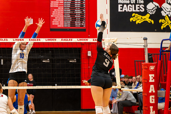 VB_LF_Linden_102325_G (29 of 259)