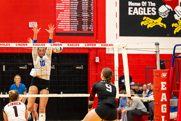 VB_LF_Linden_102325_G (30 of 259)