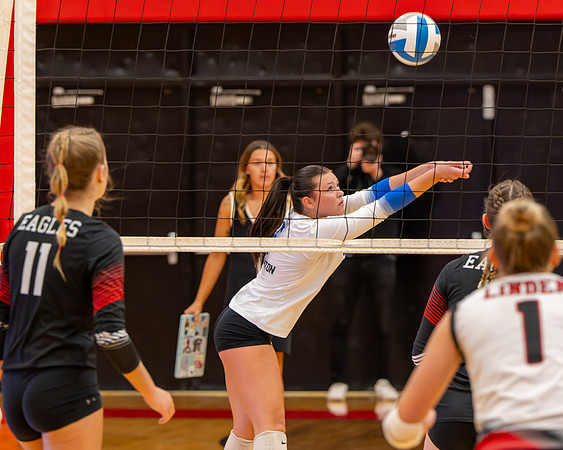 VB_LF_Linden_102325_G (33 of 259)