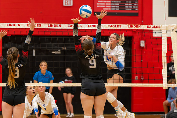 VB_LF_Linden_102325_G (32 of 259)