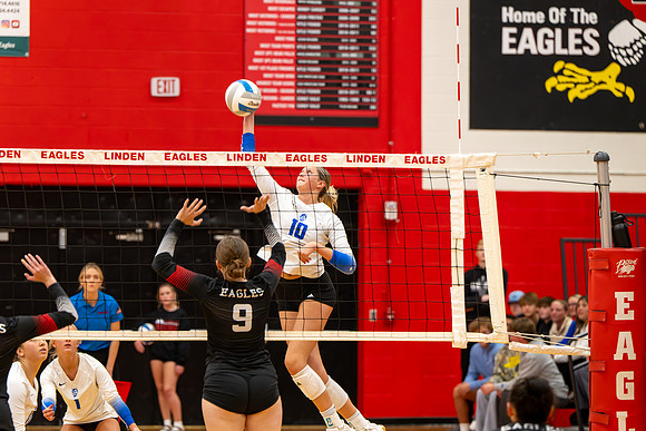 VB_LF_Linden_102325_G (31 of 259)