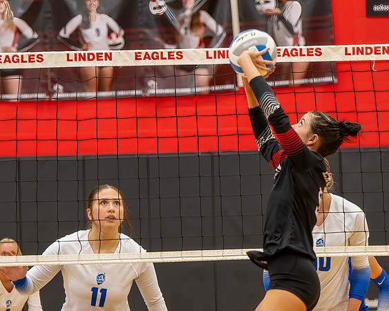 VB_LF_Linden_102325_G (34 of 259)
