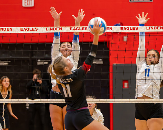 VB_LF_Linden_102325_G (35 of 259)