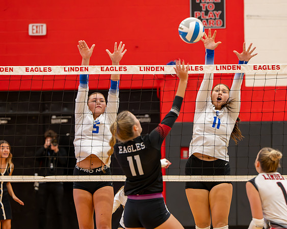 VB_LF_Linden_102325_G (36 of 259)