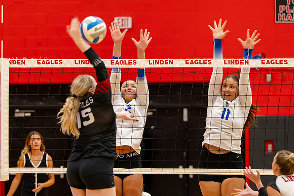 VB_LF_Linden_102325_G (37 of 259)