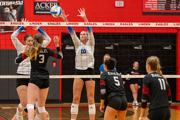 VB_LF_Linden_102325_G (38 of 259)
