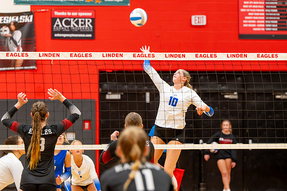 VB_LF_Linden_102325_G (39 of 259)