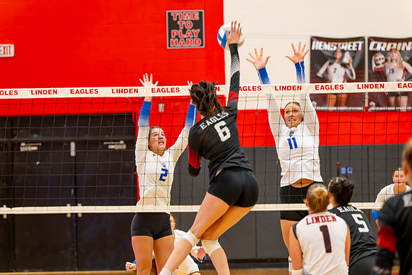 VB_LF_Linden_102325_G (40 of 259)