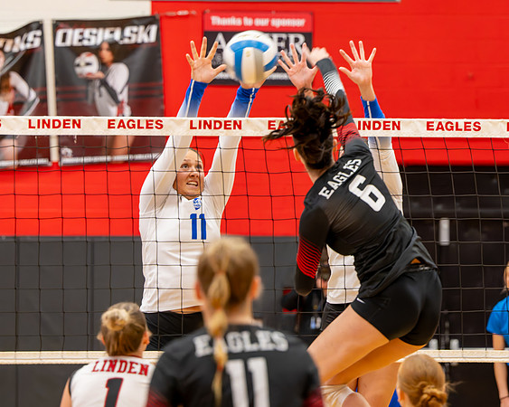 VB_LF_Linden_102325_G (43 of 259)