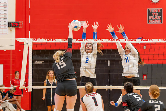 VB_LF_Linden_102325_G (41 of 259)