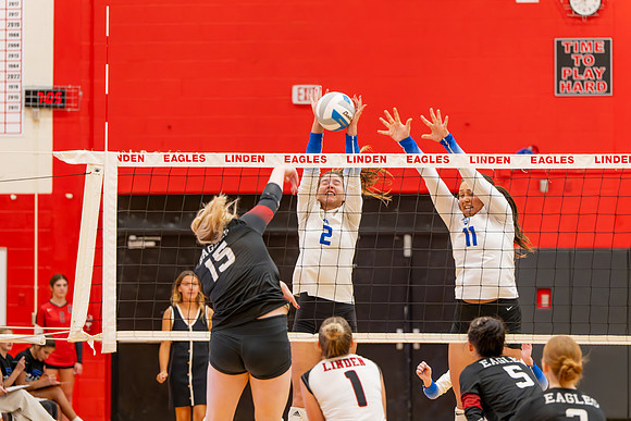 VB_LF_Linden_102325_G (42 of 259)