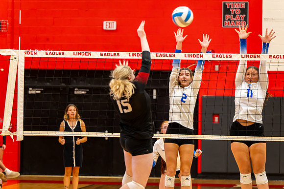 VB_LF_Linden_102325_G (44 of 259)