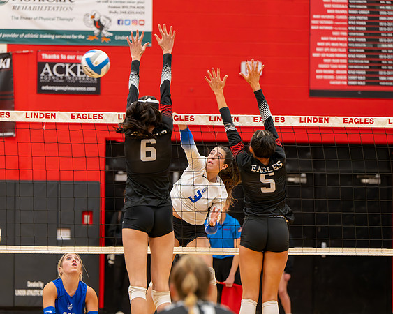 VB_LF_Linden_102325_G (45 of 259)